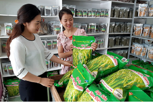 san-pham-khuyến mãi 789bet-Hoa-jpg-7204-1586453990.p