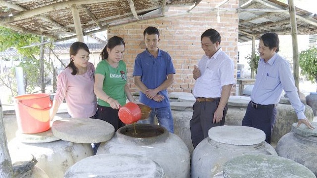 Tam Kỳ phát triển HTX để xây dựng nông thôn mới