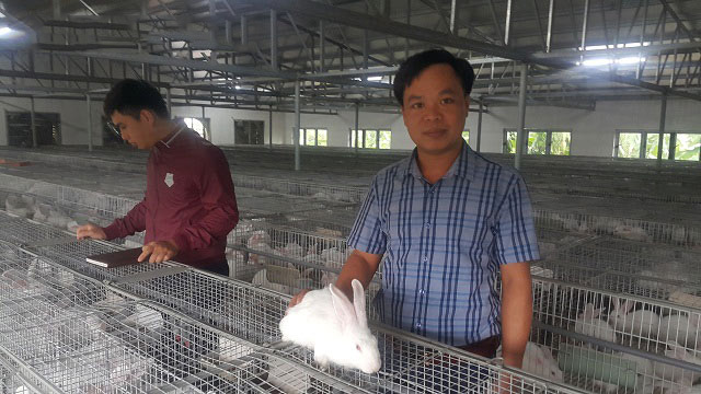 Kinh tế hợp tác góp phần nâng tầm giá trị nông sản