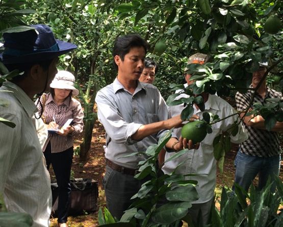 Thành công gắn với áp dụng tiến bộ khoa học kỹ thuật