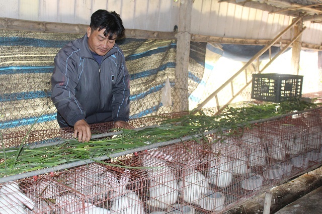 Mo-hinh-nuoi-tho-cua-anh-Phu-9119-158684