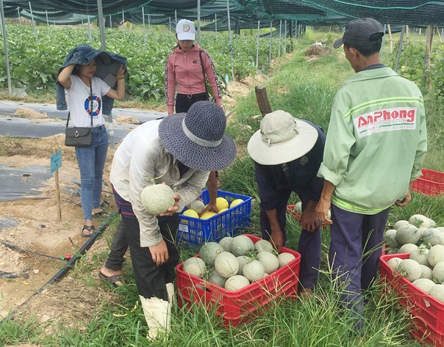 Khẳng định thương hiệu nhờ tạo ra sản phẩm khác biệt trên thị trường