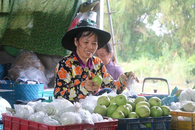 Nông dân 'vươn mình' nhờ liên kết thành lập tổ hợp tác