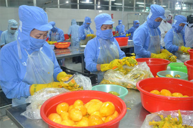 Trái cây thận trọng khởi động lại thị trường Trung Quốc