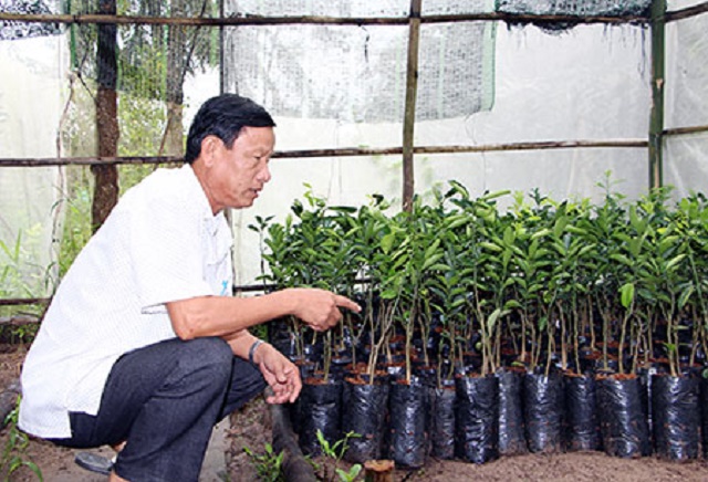 Áp dụng kỹ thuật mới để tăng lợi nhuận và bảo vệ môi trường