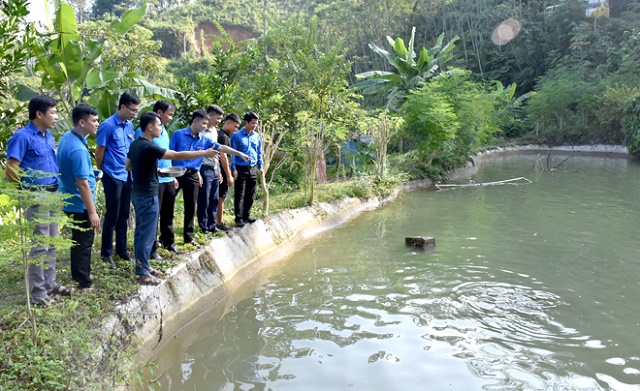 Nguồn vốn khởi nghiệp giúp thanh niên thoát nghèo