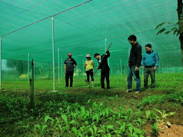 Nông nghiệp sạch tạo sinh kế ổn định cho người dân Đại Bình