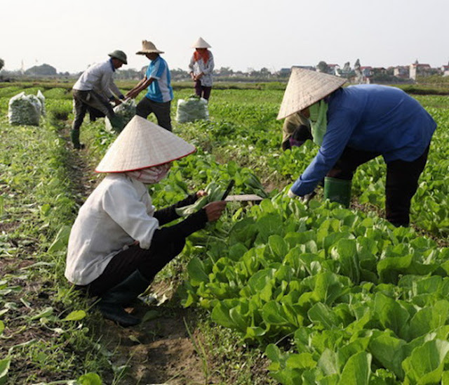 HTX tìm cách xoay chuyển, thích ứng với Covid-19