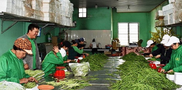 Tăng tốc nông thôn mới với ‘mũi nhọn’ nông nghiệp công nghệ cao