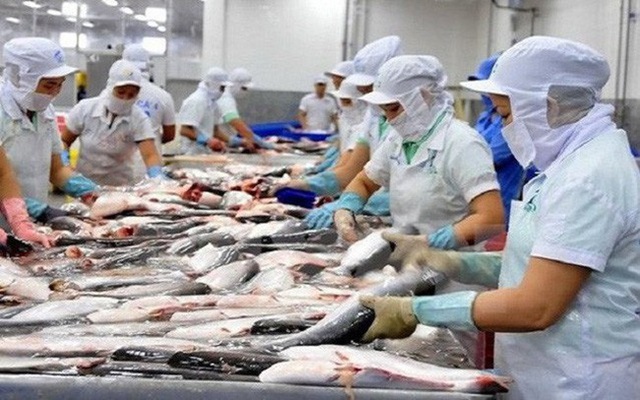 Mỹ nới lỏng quy định dán nhãn cá tra, cá thịt trắng