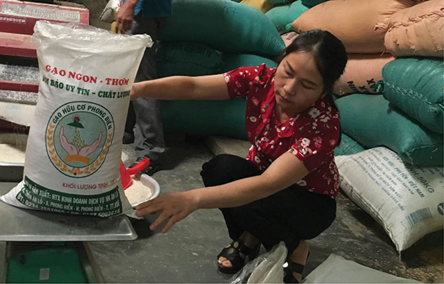 Chủ động đổi mới để thích ứng thị trường