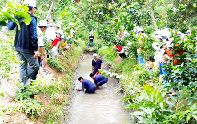 HTX nông nghiệp bứt phá làm du lịch sinh thái