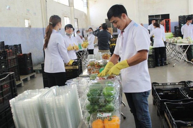 HTX chuyên ngành, dẫn dắt kinh tế hộ