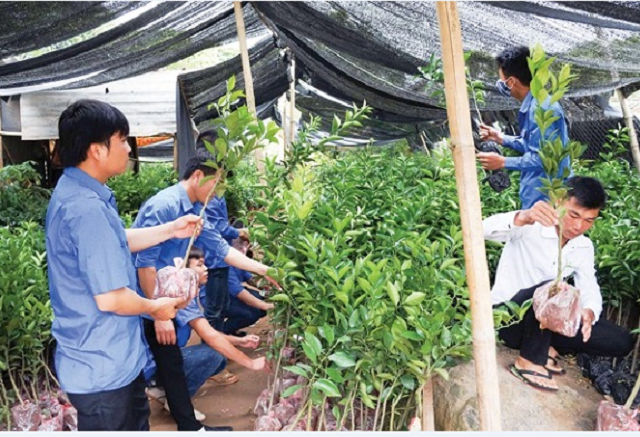 Thủ lĩnh HTX góp phần đưa Dũng Phong thành xã điểm nông thôn mới