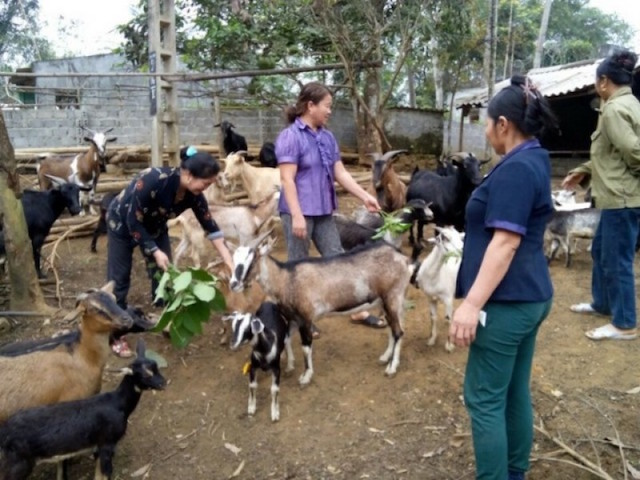 'Bí quyết' xây dựng nông thôn mới ở huyện miền núi xứ Thanh