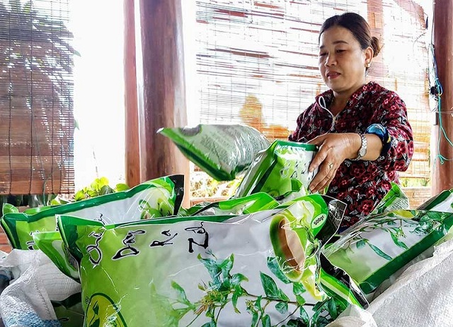 Chè dây xóa đói giảm nghèo cho đồng bào Cơ Tu