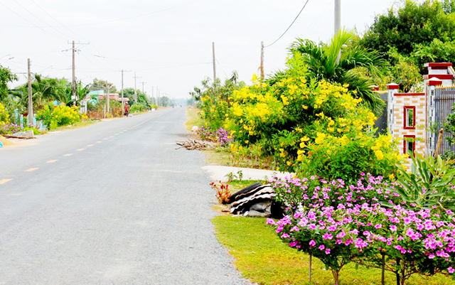 Cần Đước thúc đẩy HTX, nâng chất nông thôn mới
