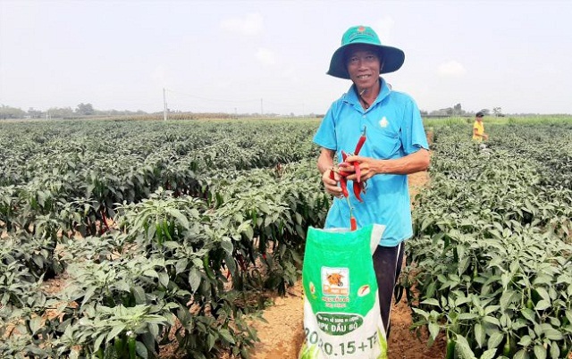 Liên kết sản xuất tạo bước chuyển trong thời Covid