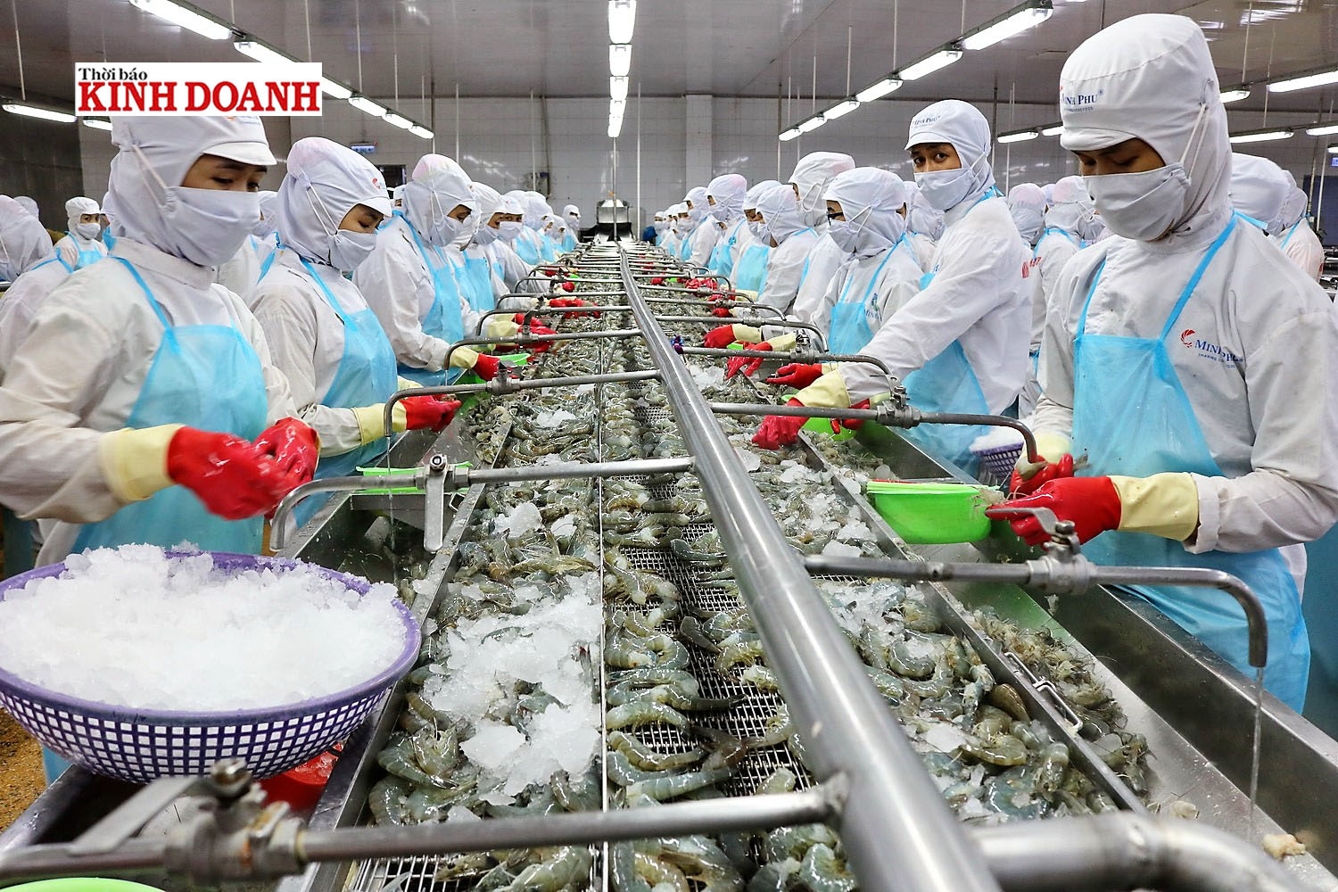 Tín hiệu tích cực cho xuất khẩu tôm