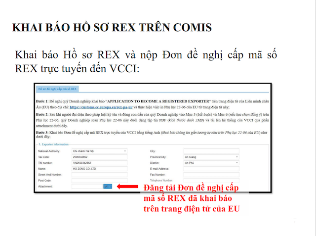 Sau 30/6, doanh nghiệp không có mã số REX không được EU ưu đãi thuế