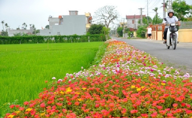 nong-thon-moi-2-2092-1587713675.jpg