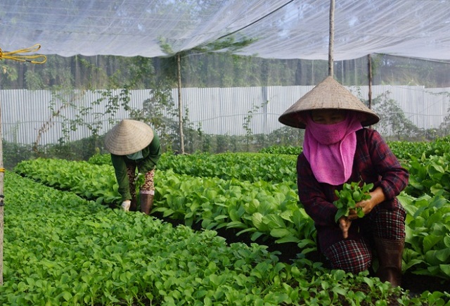 Xây dựng nông thôn mới: Đích đến không có điểm dừng ở Ninh Đông