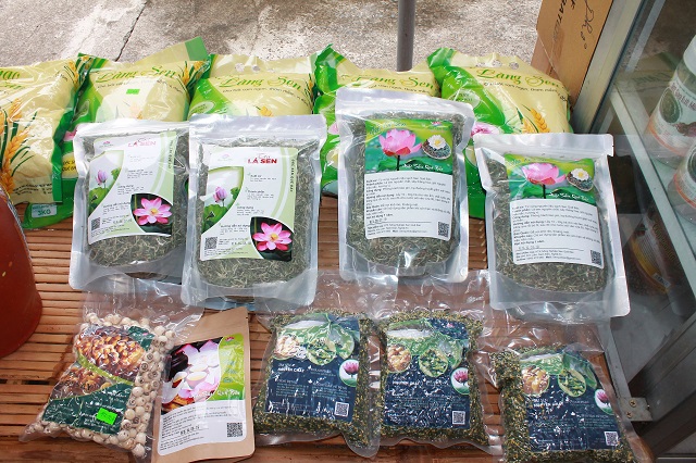 HTX góp phần đưa hương sen quê Bác bay xa