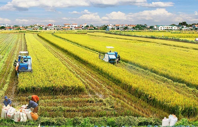 Thêm động lực phát triển nông nghiệp: Miễn khoảng 7.500 tỷ đồng/năm thuế sử dụng đất