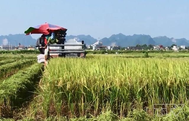 Ưu tiên tín dụng cho khu vực kinh tế hợp tác