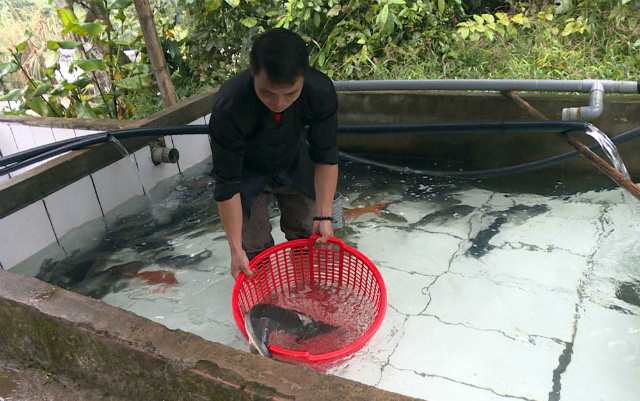 nuoi-ca-nuoc-lanh-5940-1588041470.jpg