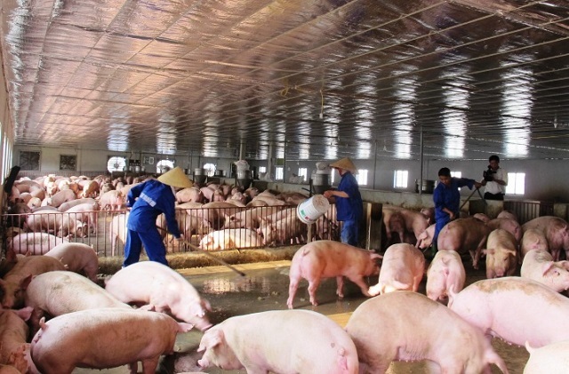 Tạo lòng tin từ môi trường sản xuất an toàn