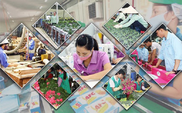 Tín hiệu tích cực từ Chương trình hỗ trợ 2261 cho HTX