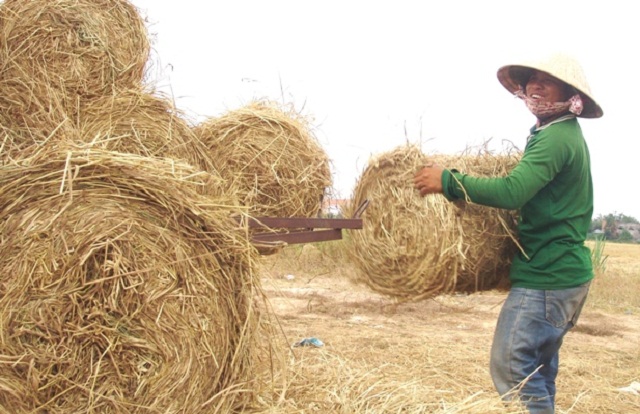 Mở rộng dịch vụ, không quên bảo vệ môi trường