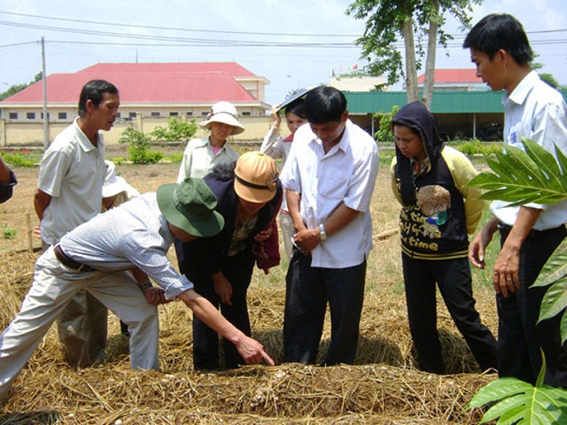 Đào tạo nghề cho lao động nông thôn góp phần xây dựng nông thôn mới