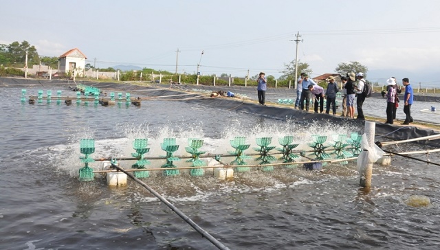 Thoát nghèo nhờ dự án phát triển chuỗi giá trị
