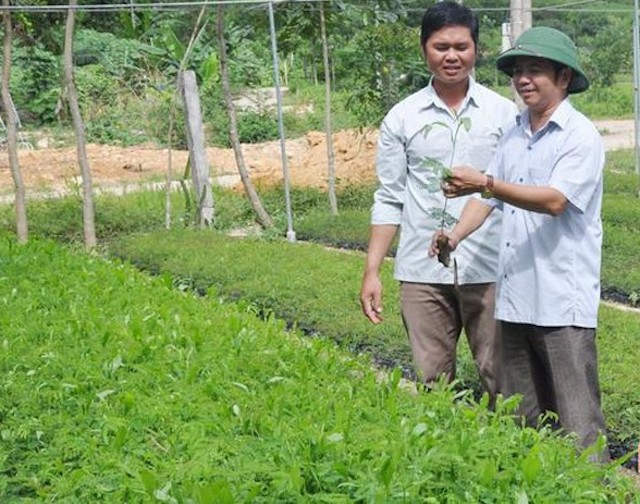 Hà Tĩnh: Đầu tư 'nâng chất' kinh tế hợp tác