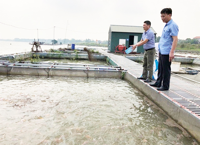 Bắc Ninh phát triển HTX gắn với kinh tế trang trại