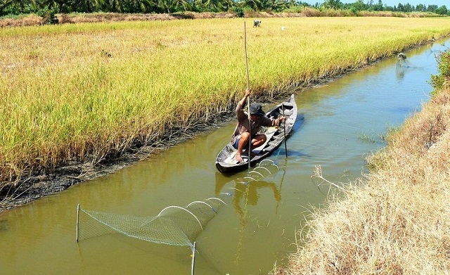 Vĩnh Thuận: Nuôi tôm xen canh, thúc đẩy xây dựng nông thôn mới