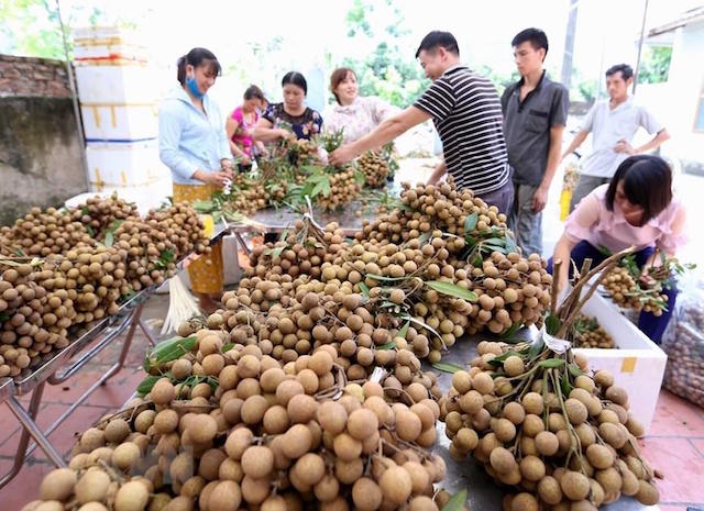Nông sản Việt có thể 'đánh chiếm' thị trường ASEAN?