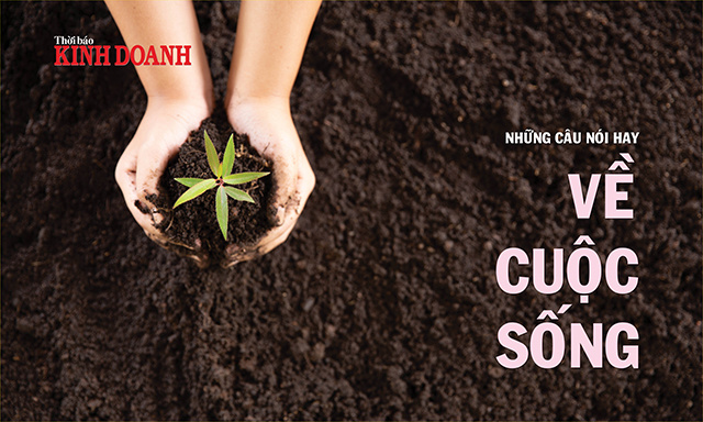 <p>
Những câu nói hay về cuộc sống</p>