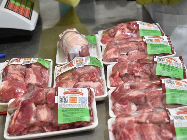 Người chăn nuôi gặp khó khăn về nguồn vốn để tái đàn lợn