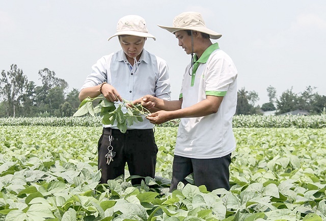 Anh-Huynh-Van-Chien-phai-chia-5063-9968-