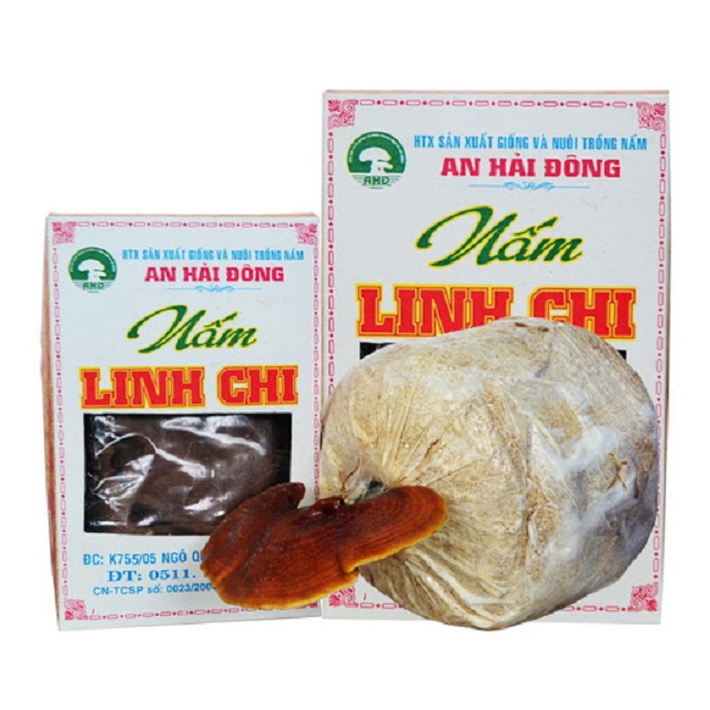 HTX nấm An Hải Đông khẳng định thương hiệu nhờ sản xuất sạch