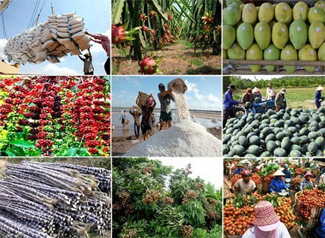 Nông sản xuất siêu gần 2,8 tỷ USD trong 4 tháng