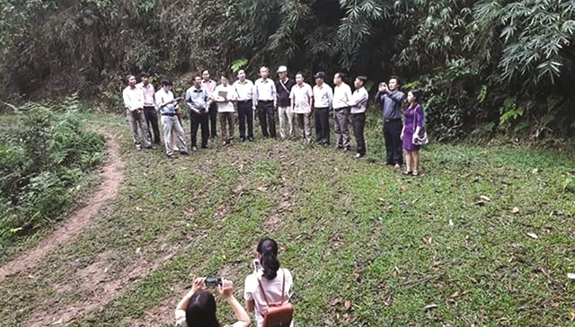 Nâng cao hiệu quả kinh doanh nhờ chứng chỉ rừng FSC-CoC