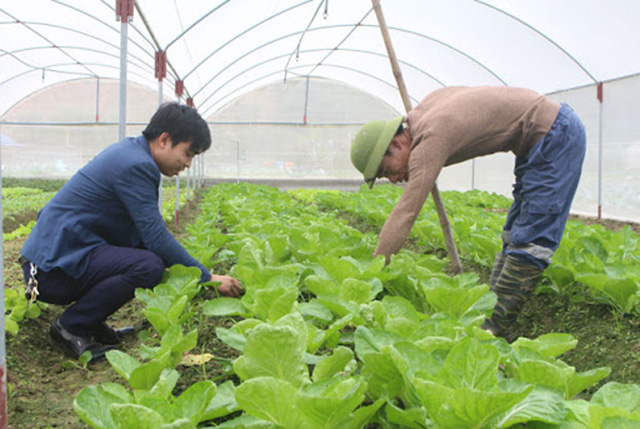 Đại Từ thêm lực đẩy cho nông nghiệp công nghệ cao