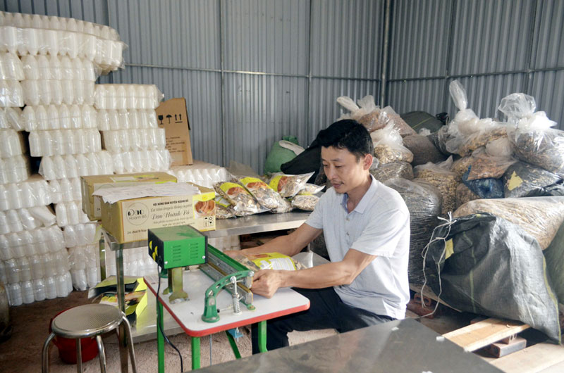 HTX Quế Sơn giữ 'ngọn lửa' thiêng bài thuốc dân tộc Dao