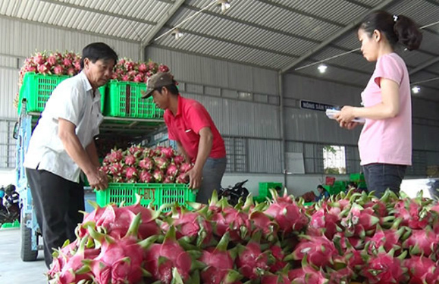huong-5401-1589097930.jpg
