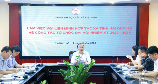 Liên minh HTX Hải Dương: sẵn sàng cho Đại hội nhiệm kỳ 2020 - 2025