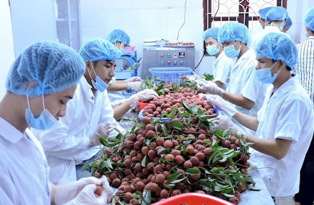 Nông sản 'săn tìm' thị trường mới